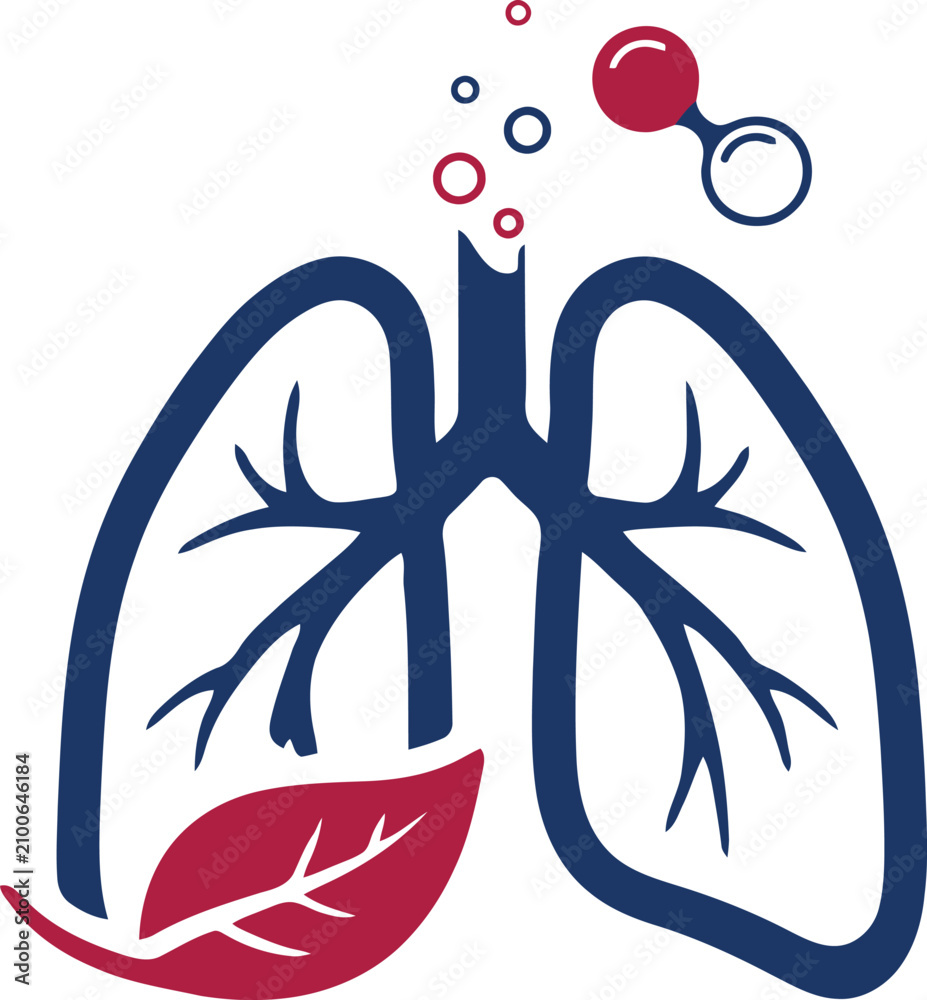 Fototapeta premium Human lungs silhouette with stylized leaf and molecule on white background, health and wellness concept