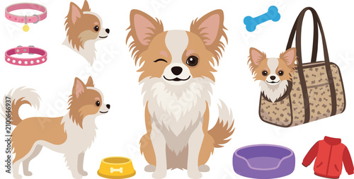 Canvastavla Cute long haired chihuahua dog vector illustration set featuring puppy winking standing carrying bag collars bowl bed clothes bone isolated on white background
