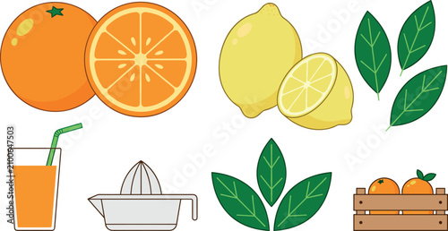 Tableau sur toile Fresh citrus fruit vector illustration set with orange lemon juice glass squeezer wooden crate and green leaves isolated on white background