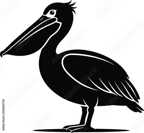 Billede på lærred Majestic coastal pelican seabird standing profile with large pouch beak black silhouette vector graphic illustration isolated on white