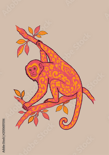 Vászonkép macaco