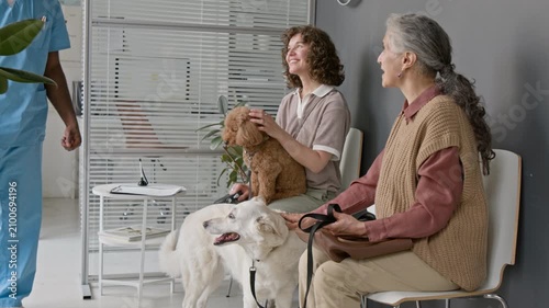 Senior Caucasian woman and young adult woman sitting with dogs in vet clinic, Black male veterinarian kneeling to pet dog. Perfect for promoting veterinary clinics and pet healthcare services