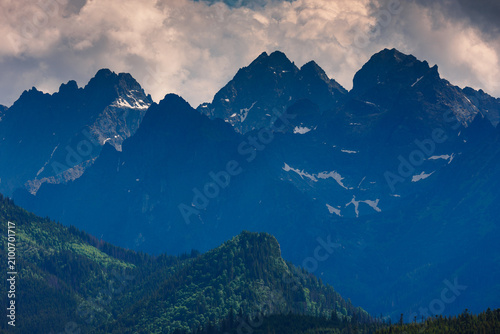 Sunlit green mountain valley with meadow, forested slopes in Zakopane Tatras mountains