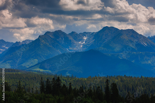 Sunlit green mountain valley with meadow, forested slopes in Zakopane Tatras mountains