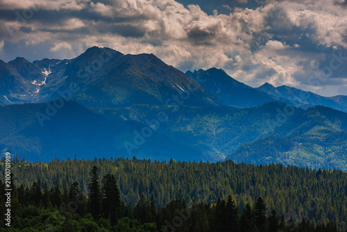 Sunlit green mountain valley with meadow, forested slopes in Zakopane Tatras mountains