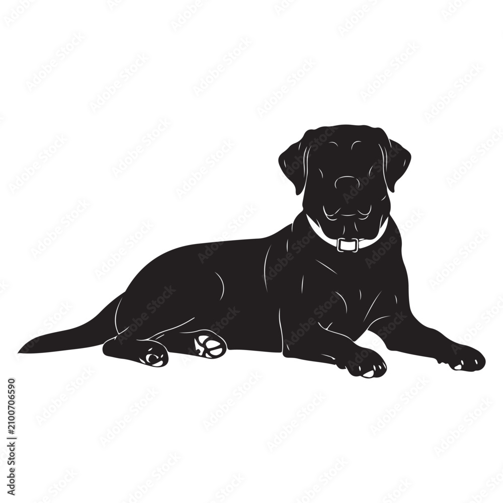Obraz premium Black labrador retriever silhouette vector lying down with collar for pet branding and animal graphics