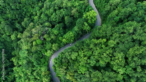Sustainable Infrastructure Through Dense Forest for ESG Annual Report Background