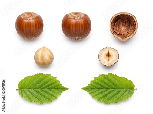 Top-down view of textured hazelnuts and kernels organized neatly with fresh leaves over a clean, bright background.