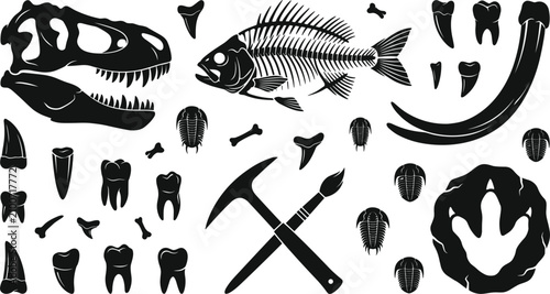 Foto Paleontology and dinosaur fossil excavation vector icon set with black silhouett