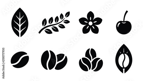 Black silhouettes of coffee beans leaves and flower on white background