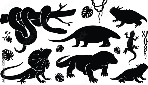 Canvastavla Reptiles and amphibians jungle wildlife tropical herpetology vector icon set wit