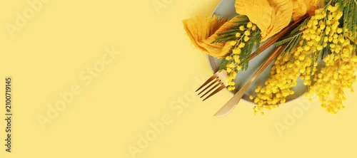 Obraz  z motywem Close up of spring table decor with mimosa flowers yellow napkin and golden cutlery on plate soft pastel background elegant seasonal detail