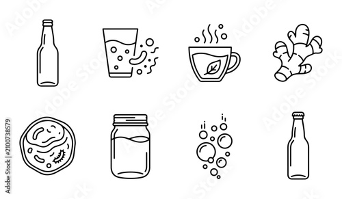 Kombucha Ingredients and Drinks Icons, Fermented Tea and Ginger Vector Set