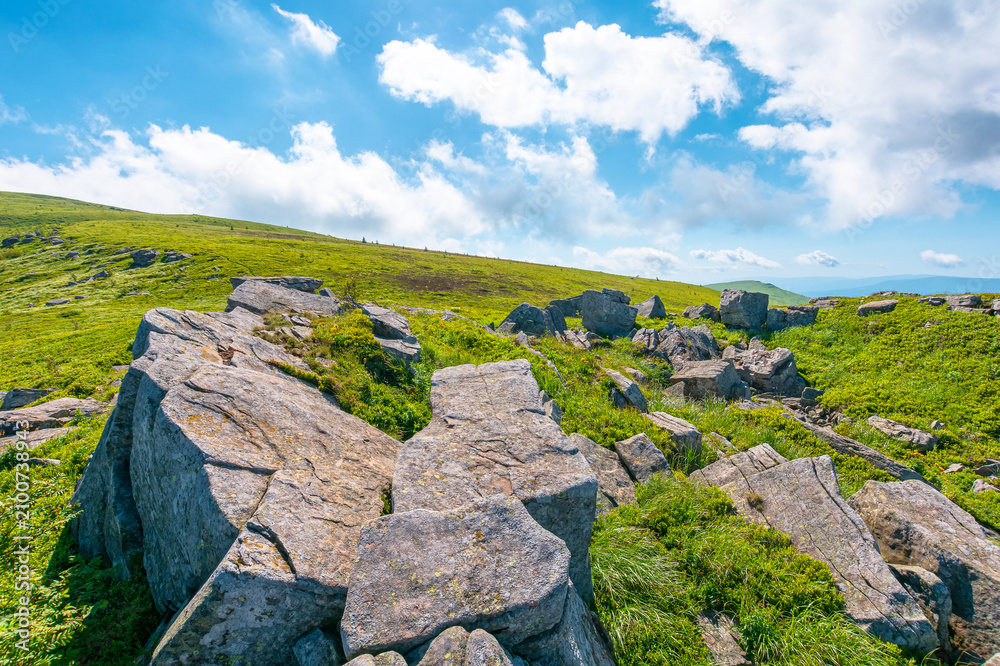 Obraz premium alpine grassy meadow. carpathian mountains landscape with huge boulders. alpine nature scenery of ukraine highlands in summer. view of remote place in mountains