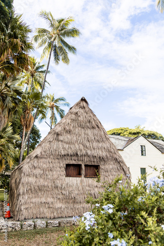 Картината върху платно Traditional thatched Hawaiian hale surrounded by tropical foliage, Honolulu, Oah
