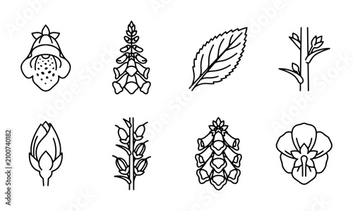 Foto 8 Botanical Outline Icons of Foxglove and Orchid Flowers, Leaf, Bud, Stem, for N