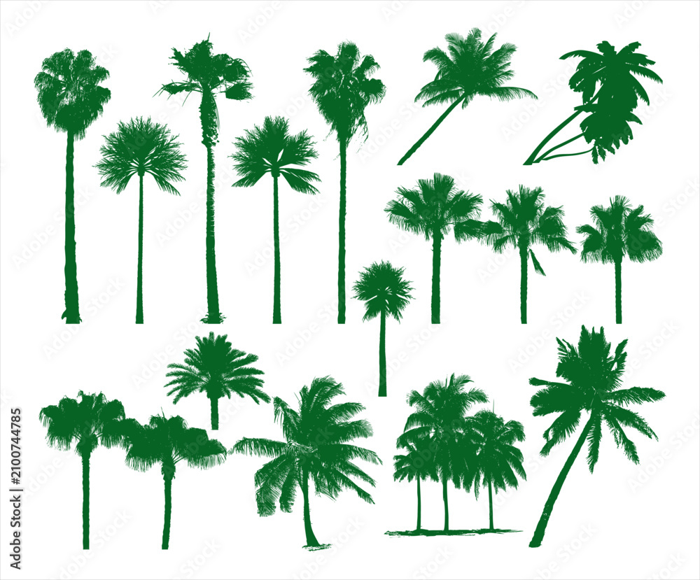 Obraz premium palm trees.
