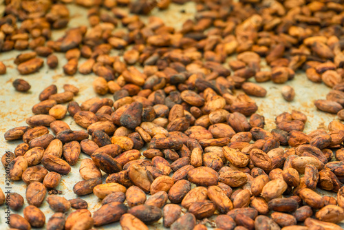Fotografía Aromatic cocoa beans as a background