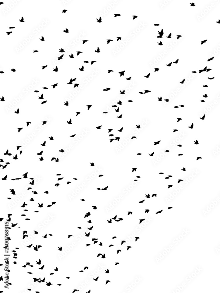 Fototapeta premium Flying birds silhouette flock. hand drawing. Not AI. Vector illustration