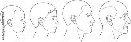 Photography Male life cycle aging process profile vector illustration from baby to senior ol