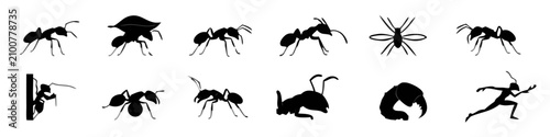 Bild auf Leinwand Collection of ant silhouettes in various poses against a white background repres