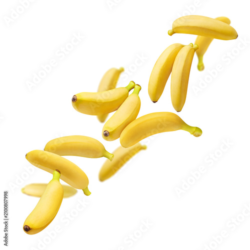 Obraz na plátne Delicious ripe bananas suspended in weightless motion, isolated on transparent c