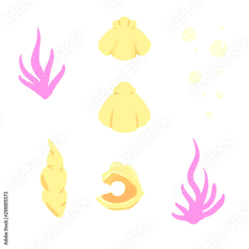 yellow shellfish