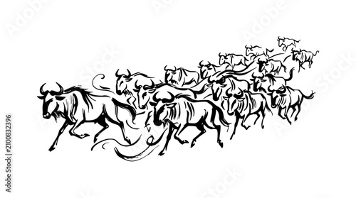 Canvas Print Dynamic wildebeest herd stampede in black and white.