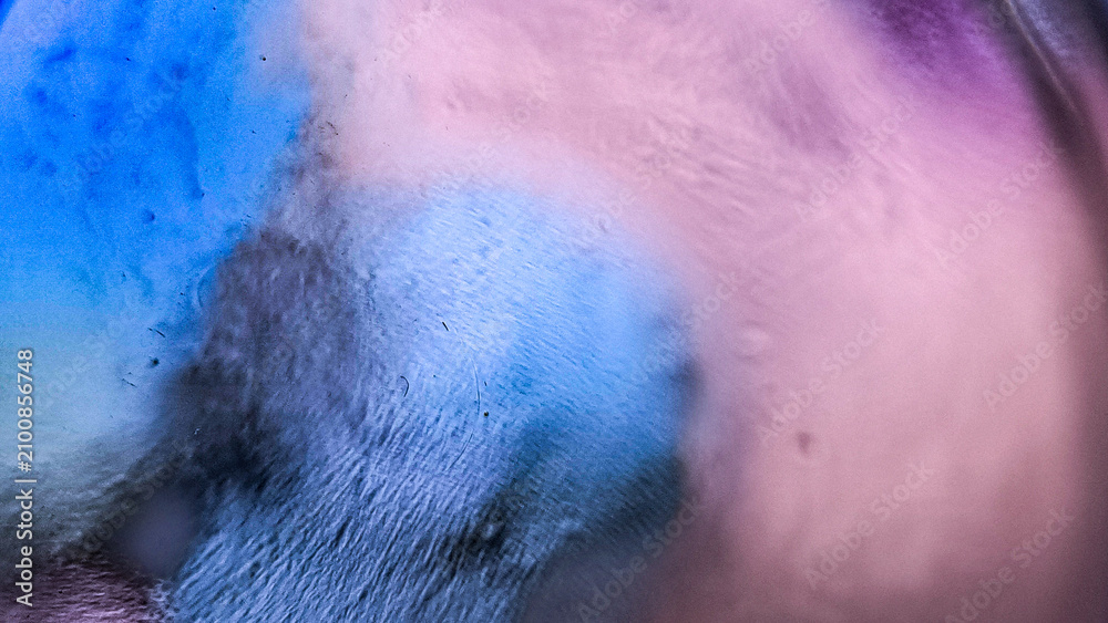 Fototapeta premium Blue Purple Grainy Macro Texture