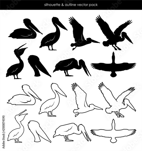 pelican silhouette and outline vector icon pack collection