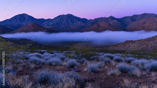 Misty mountains at dawn over desert scrub.