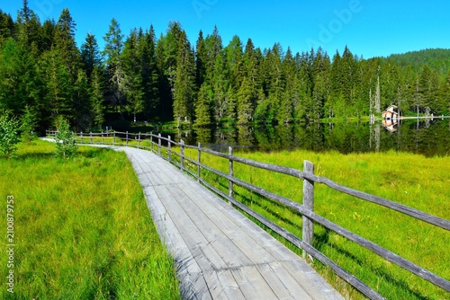 Woodwalkway at a raised bog at Prebersee lake with a conifer forest at the shore in Lungau, Niedere Tauern, Austria