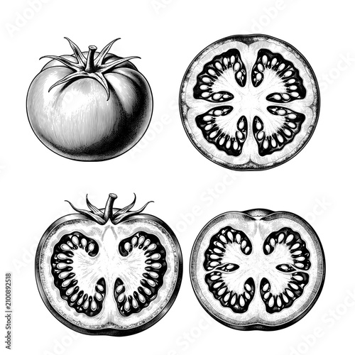 Set Of Hand Drawn Tomato Slice Botanical Illustration