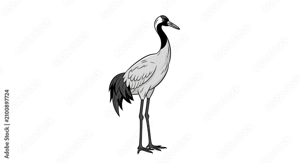 Obraz premium Minimalist black and white illustration of a red-crowned crane standing gracefully. Elegant design, isolated on a clean white background.