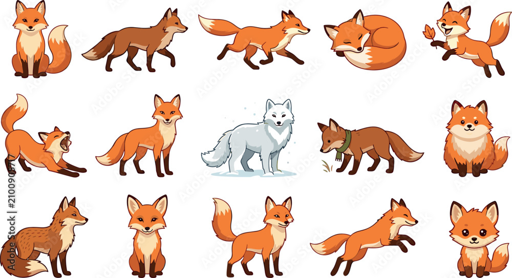 Fototapeta premium Fox vector cartoon character collection featuring cute orange red foxes and white arctic fox running jumping sleeping stretching and sitting on white background