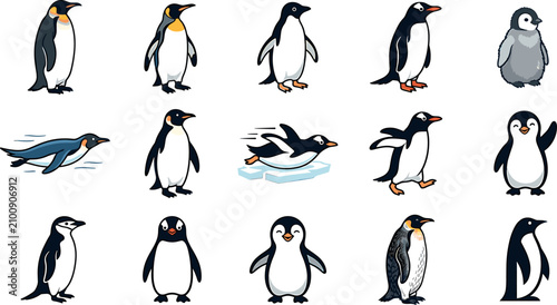 Obraz na płótnie Cute penguin cartoon vector character set featuring different antarctic birds sw