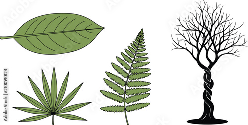 Tableau sur toile Botanical vector illustration collection featuring detailed green leaves palm fe