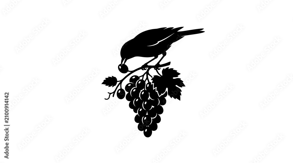 Fototapeta premium Bird perched on a bunch of grapes silhouette