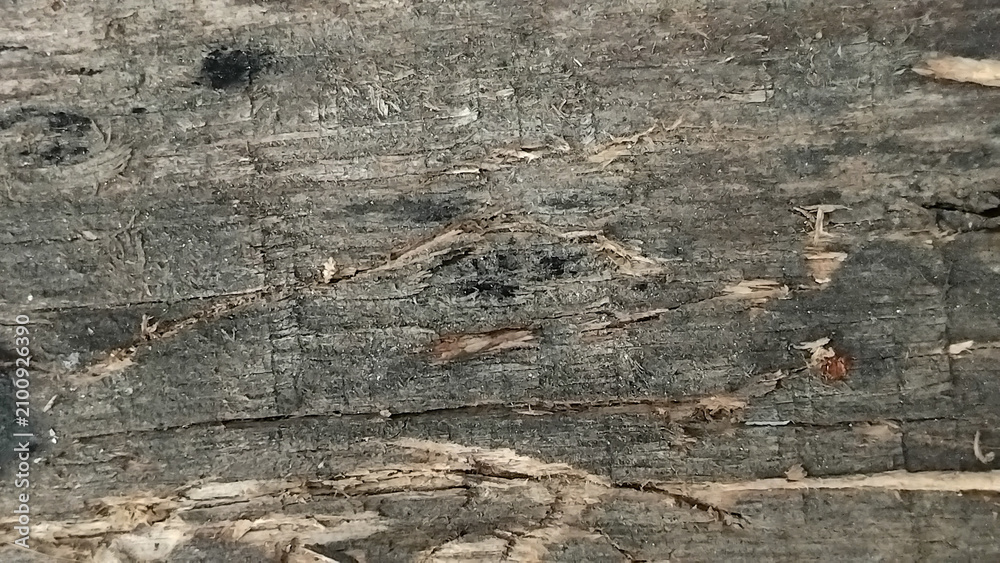 Fototapeta premium Graphic Resources : Close-up of Weathered Rustic Gray Wooden Planks Texture