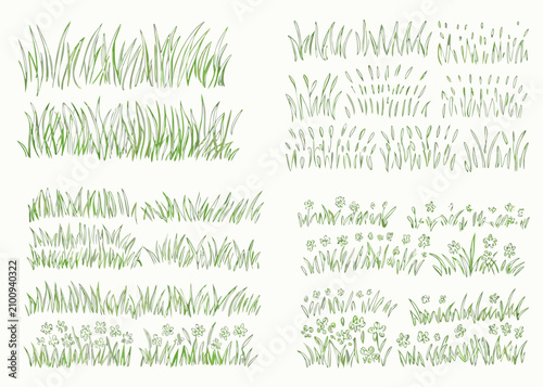 Photography Grass clusters and wildflower arrangement hand drawn vector illustration