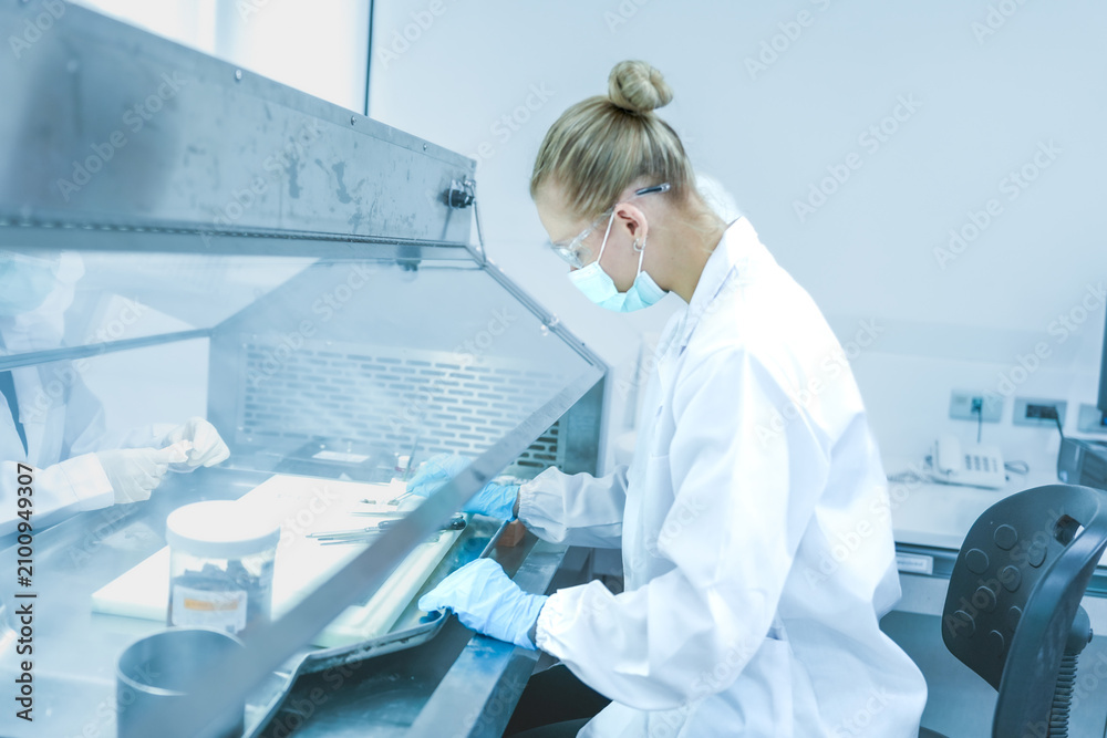 Obraz premium Lab technician working behind glass sash of fume hood for safety. Scientist in blue gloves managing chemical experiment in ventilated biosafety cabinet securely.
