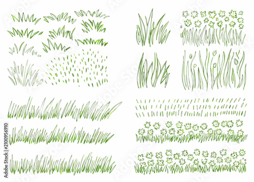 Photography Hand Drawn Grass Clusters And Wildflowers Vector Illustration