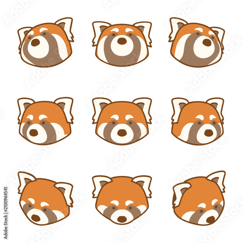 レッサーパンダの顔・角度バリエーション