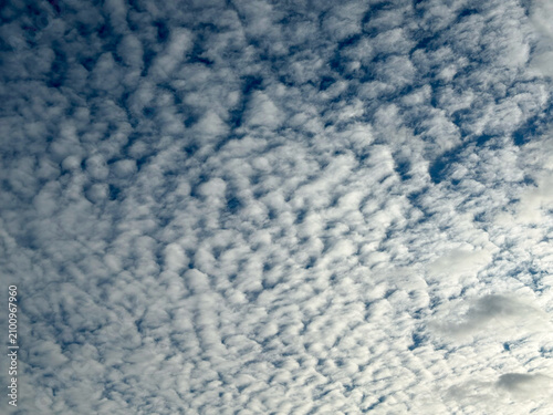 Принти на полотні Full frame texture of white altocumulus or cirrocumulus clouds ripple pattern covering the blue sky, meteorological weather background