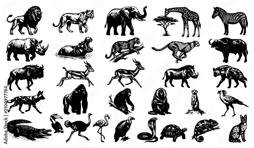 Fototapeta premium Premium African Wildlife Clipart Collection in Dark Monochrome Engraving Style