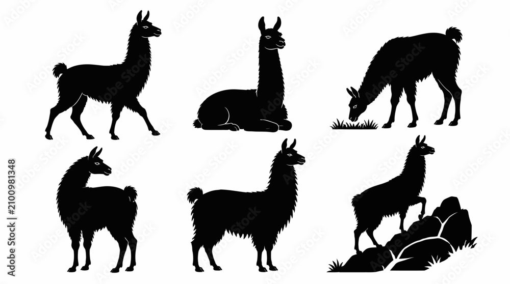 Obraz premium Llama Silhouettes Collection in Various Poses for Animal Design