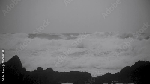 台風接近時の奄美大島の海岸線：強風に揺れる木々と荒れる海（モノクロ）