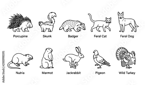 Tableau sur toile Pest Animal Outline Icon Set with Labels Featuring Porcupine Skunk Badger Feral