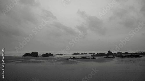 台風接近時の奄美大島の海岸線：強風に揺れる木々と荒れる海（モノクロ）