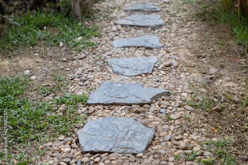 Photography Path of stones in garden